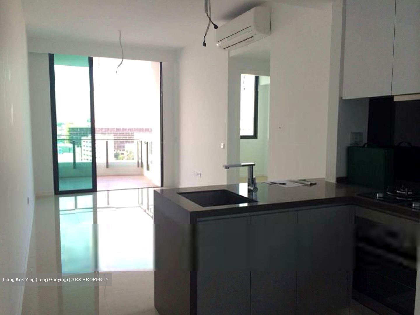 Sky Green (D13), Condominium #536188471